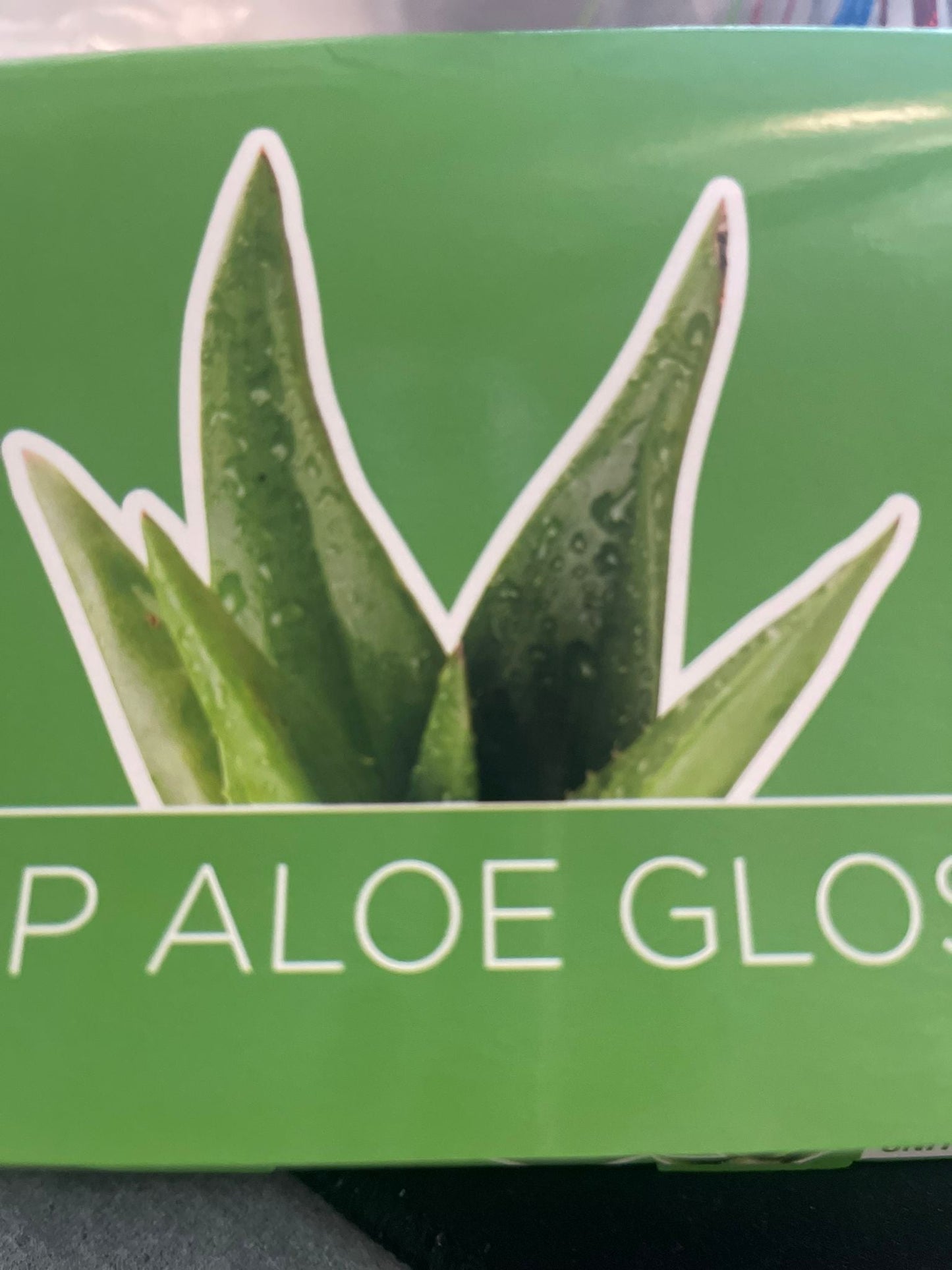 GLOSS ALOE VERA - L'autre mode