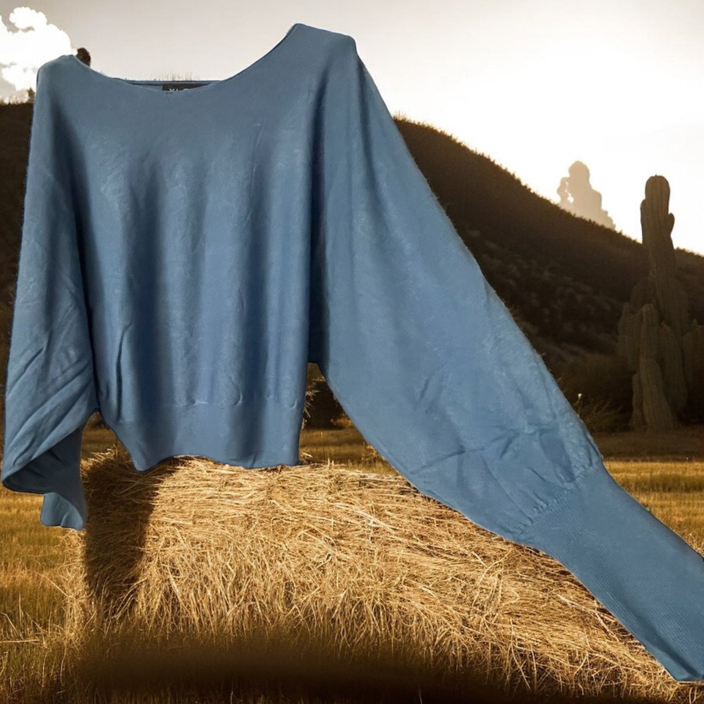 pull very boat - L'autre mode