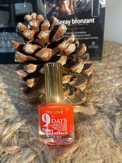 VERNIS EFFET GEL 9 JOURS